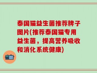 泰国猫益生菌推荐牌子图片(推荐泰国猫专用益生菌，提高营养吸收和消化系统健康)