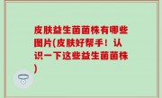 皮肤益生菌菌株有哪些图片(皮肤好帮手！认识一下这些益生菌菌株)