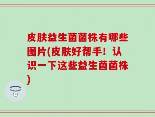 皮肤益生菌菌株有哪些图片(皮肤好帮手！认识一下这些益生菌菌株)