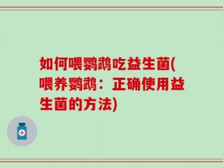 如何喂鹦鹉吃益生菌(喂养鹦鹉：正确使用益生菌的方法)
