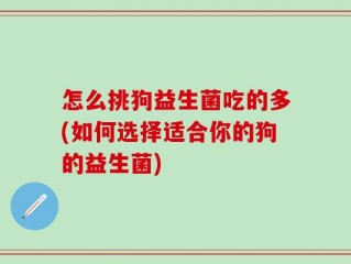 怎么挑狗益生菌吃的多(如何选择适合你的狗的益生菌)
