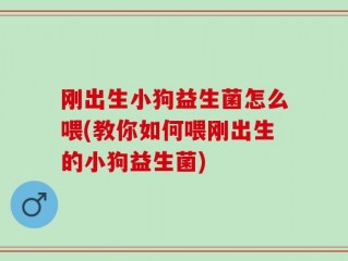 刚出生小狗益生菌怎么喂(教你如何喂刚出生的小狗益生菌)