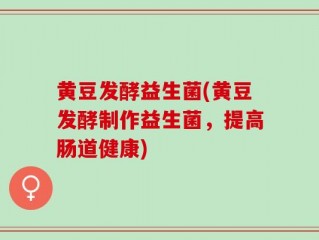 黄豆发酵益生菌(黄豆发酵制作益生菌，提高肠道健康)