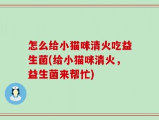 怎么给小猫咪清火吃益生菌(给小猫咪清火，益生菌来帮忙)