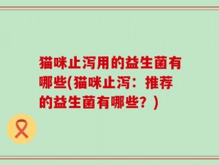 猫咪止泻用的益生菌有哪些(猫咪止泻：推荐的益生菌有哪些？)