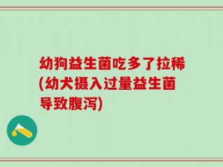 幼狗益生菌吃多了拉稀(幼犬摄入过量益生菌导致腹泻)