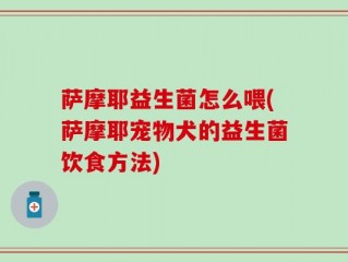 萨摩耶益生菌怎么喂(萨摩耶宠物犬的益生菌饮食方法)
