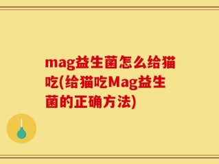 mag益生菌怎么给猫吃(给猫吃Mag益生菌的正确方法)