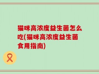 猫咪高浓度益生菌怎么吃(猫咪高浓度益生菌食用指南)