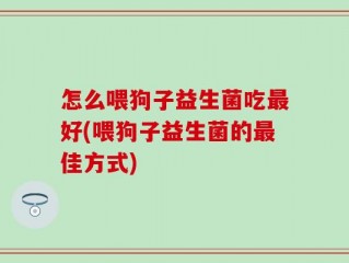 怎么喂狗子益生菌吃最好(喂狗子益生菌的最佳方式)