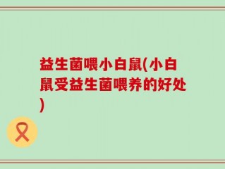 益生菌喂小白鼠(小白鼠受益生菌喂养的好处)