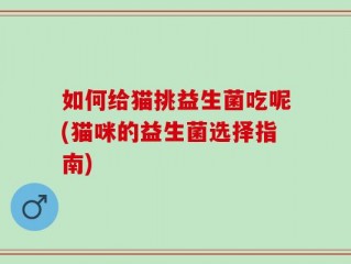 如何给猫挑益生菌吃呢(猫咪的益生菌选择指南)