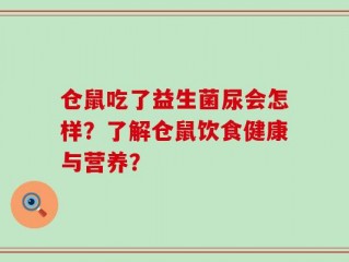仓鼠吃了益生菌尿会怎样？了解仓鼠饮食健康与营养？