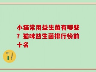 小猫常用益生菌有哪些？猫咪益生菌排行榜前十名
