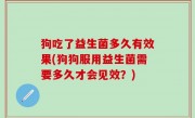 狗吃了益生菌多久有效果(狗狗服用益生菌需要多久才会见效？)