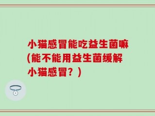 小猫感冒能吃益生菌嘛(能不能用益生菌缓解小猫感冒？)