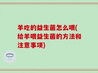 羊吃的益生菌怎么喂(给羊喂益生菌的方法和注意事项)