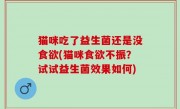猫咪吃了益生菌还是没食欲(猫咪食欲不振？试试益生菌效果如何)