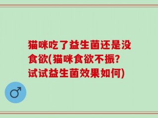 猫咪吃了益生菌还是没食欲(猫咪食欲不振？试试益生菌效果如何)