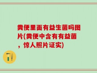粪便里面有益生菌吗图片(粪便中含有有益菌，惊人照片证实)