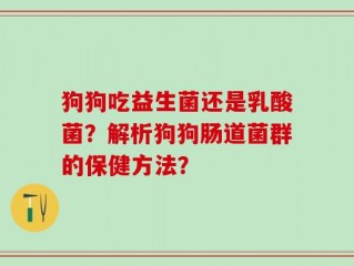 狗狗吃益生菌还是乳酸菌？解析狗狗肠道菌群的保健方法？