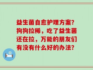益生菌自愈护理方案？狗狗拉稀，吃了益生菌还在拉，万能的朋友们有没有什么好的办法？