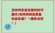 怎样判定益生菌的好坏图片(如何辨别高质量的益生菌？一图告诉你！)