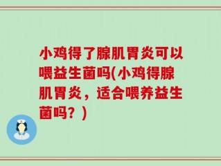 小鸡得了腺肌胃炎可以喂益生菌吗(小鸡得腺肌胃炎，适合喂养益生菌吗？)