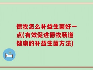 德牧怎么补益生菌好一点(有效促进德牧肠道健康的补益生菌方法)
