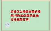 给蛇怎么喂益生菌的视频(喂蛇益生菌的正确方法视频分享)