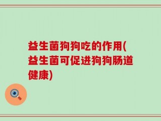 益生菌狗狗吃的作用(益生菌可促进狗狗肠道健康)