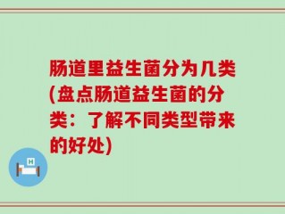 肠道里益生菌分为几类(盘点肠道益生菌的分类：了解不同类型带来的好处)