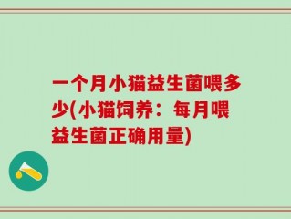 一个月小猫益生菌喂多少(小猫饲养：每月喂益生菌正确用量)