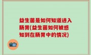 益生菌是如何知道进入肠胃(益生菌如何被感知到在肠胃中的情况)