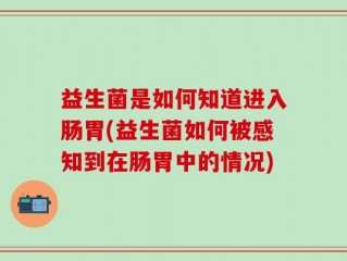 益生菌是如何知道进入肠胃(益生菌如何被感知到在肠胃中的情况)