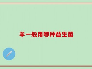 羊一般用哪种益生菌