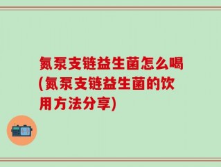 氮泵支链益生菌怎么喝(氮泵支链益生菌的饮用方法分享)