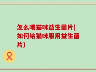 怎么喂猫咪益生菌片(如何给猫咪服用益生菌片)