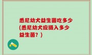 悉尼幼犬益生菌吃多少(悉尼幼犬应摄入多少益生菌？)