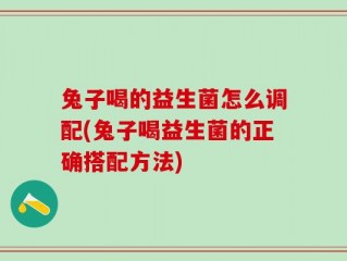 兔子喝的益生菌怎么调配(兔子喝益生菌的正确搭配方法)