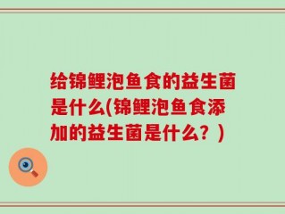 给锦鲤泡鱼食的益生菌是什么(锦鲤泡鱼食添加的益生菌是什么？)