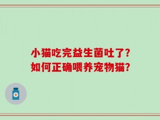 小猫吃完益生菌吐了？如何正确喂养宠物猫？