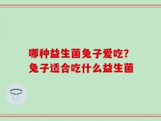 哪种益生菌兔子爱吃？兔子适合吃什么益生菌