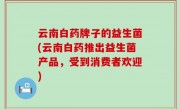 云南白药牌子的益生菌(云南白药推出益生菌产品，受到消费者欢迎)