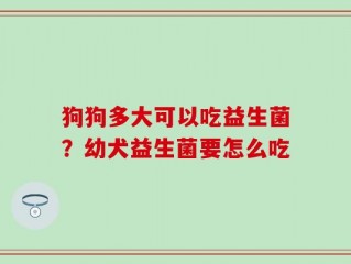 狗狗多大可以吃益生菌？幼犬益生菌要怎么吃