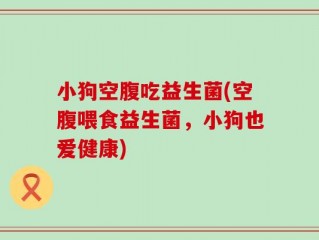小狗空腹吃益生菌(空腹喂食益生菌，小狗也爱健康)