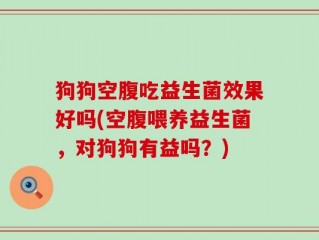狗狗空腹吃益生菌效果好吗(空腹喂养益生菌，对狗狗有益吗？)