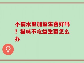 小猫水里加益生菌好吗？猫咪不吃益生菌怎么办