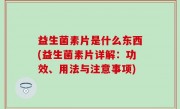 益生菌素片是什么东西(益生菌素片详解：功效、用法与注意事项)