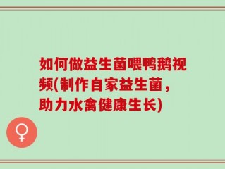 如何做益生菌喂鸭鹅视频(制作自家益生菌，助力水禽健康生长)